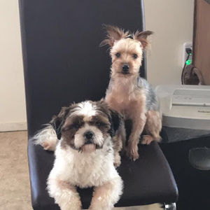 Meet your Posher, Michael